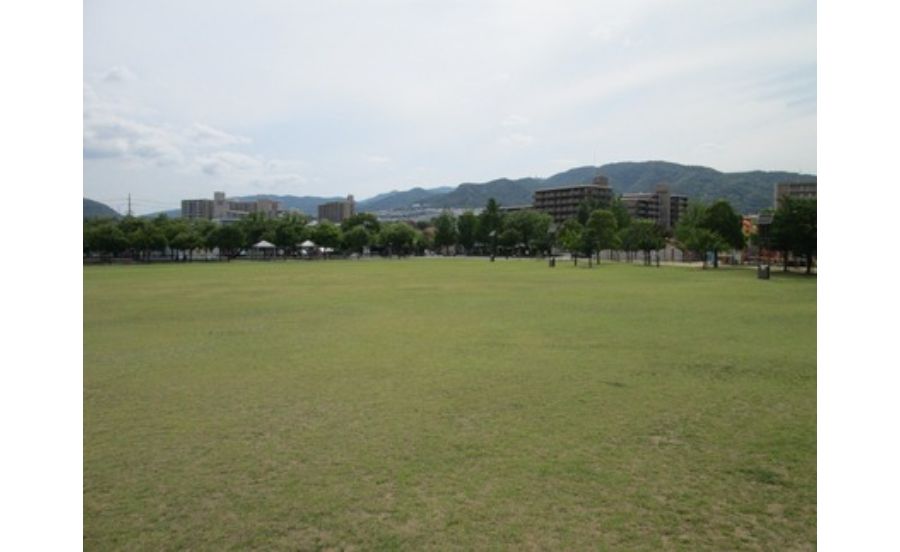 末広中央公園