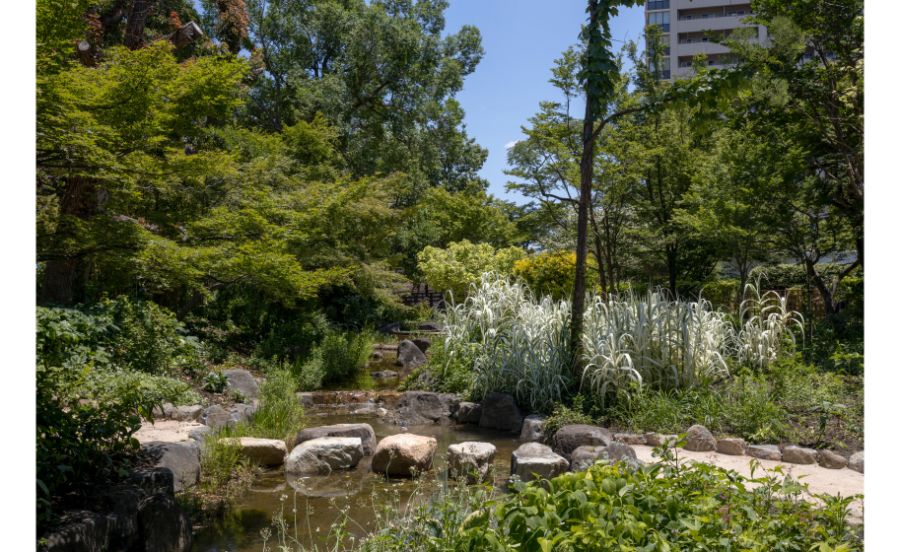 宝塚文化芸術センターの庭園