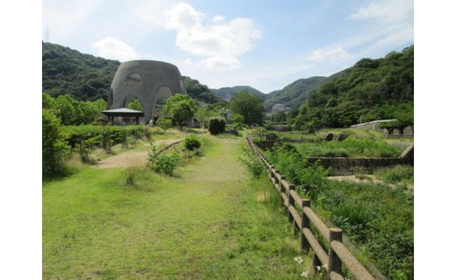 ゆずり葉緑地の遊歩道