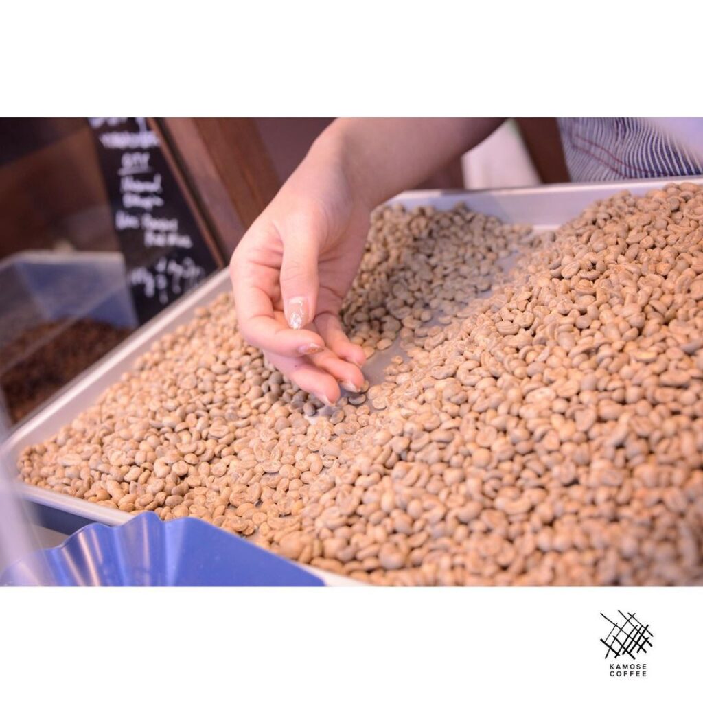 カモセ珈琲焙煎所のこだわりハンドピック