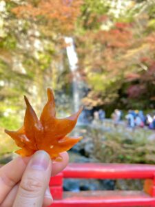 紅葉てんぷらと滝