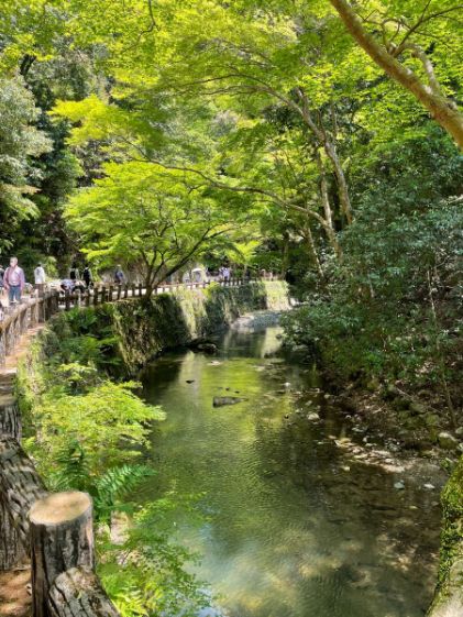 清々しい箕面の滝道