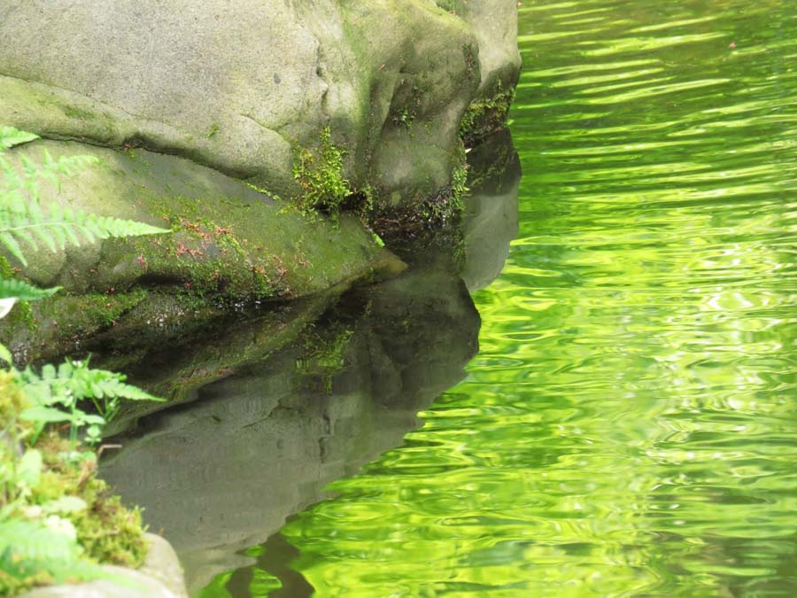 京都八瀬を流れる高野川の景色
