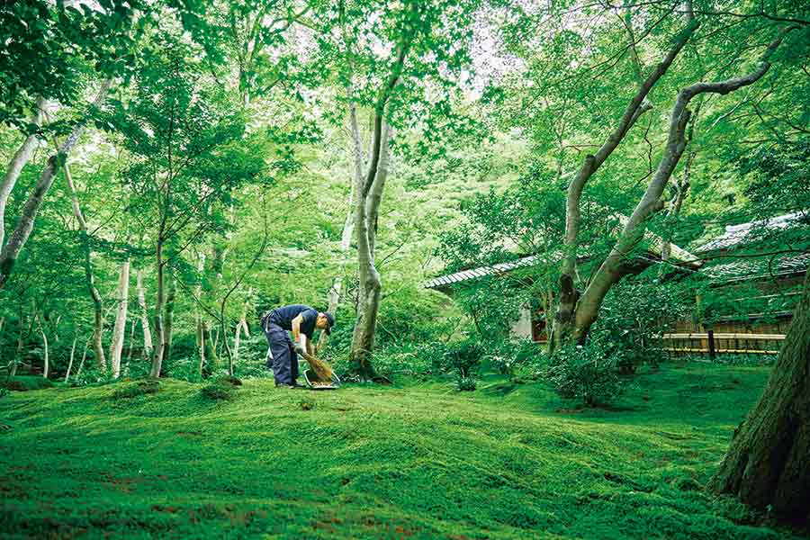駅と街のストーリー：観光名所の影の立役者。～京都・嵐山～【TOKK2021年9月号】