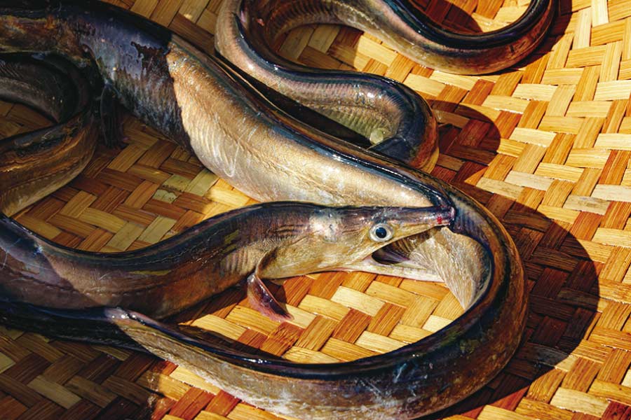 2021秋の神戸食材フェア 10月31日（日）まで