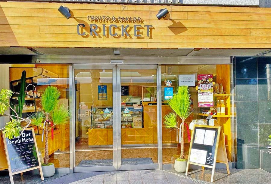 クリケットの外観