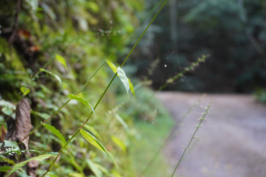 大文字山ハイキングコース　