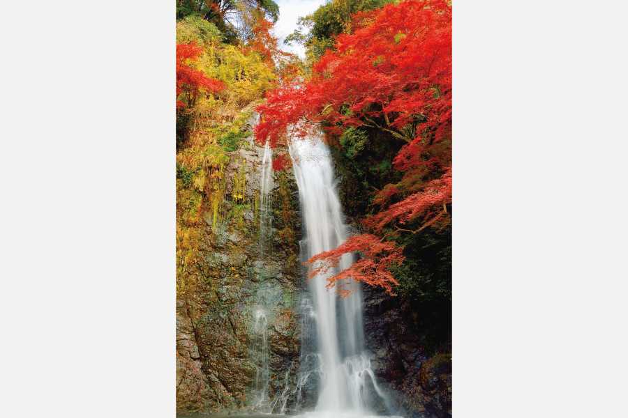 大阪の紅葉の名所・箕面の滝（箕面大滝）。名物「もみじ天ぷら」の起源とは【TOKK2021年11月号】