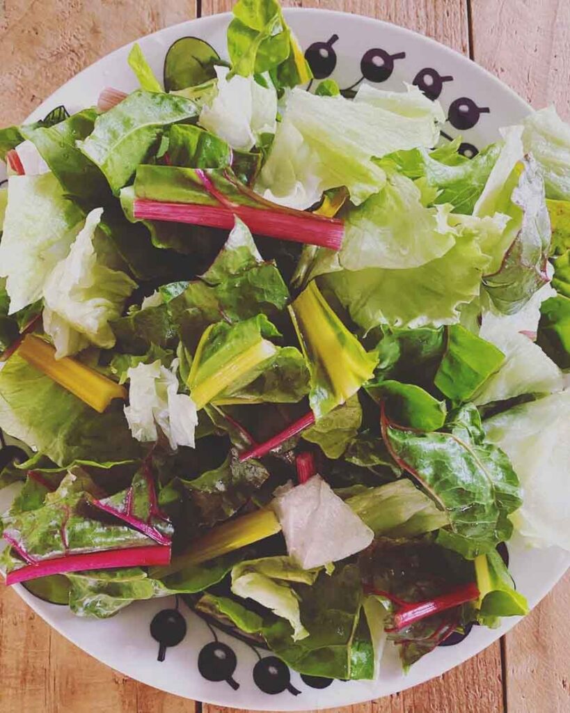 パブリックキッチンのサラダ