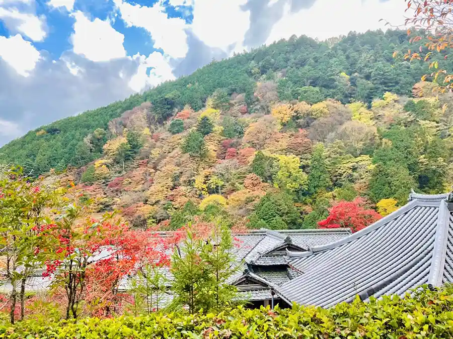 善峯寺の紅葉