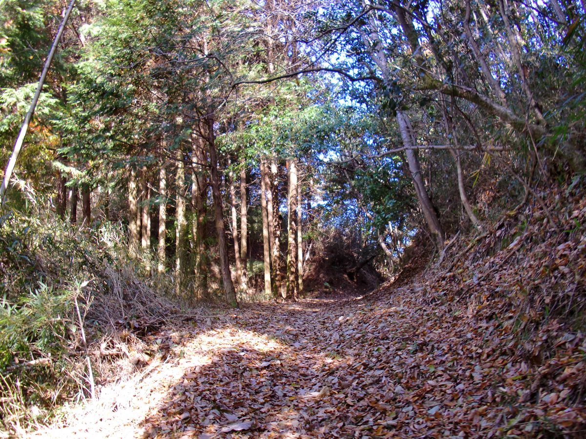 のせでん平日ハイキング。古道と名所を訪ね歩く、大部峠・柿ノ木鉱山跡・屏風岩コース12月14日（火）開催