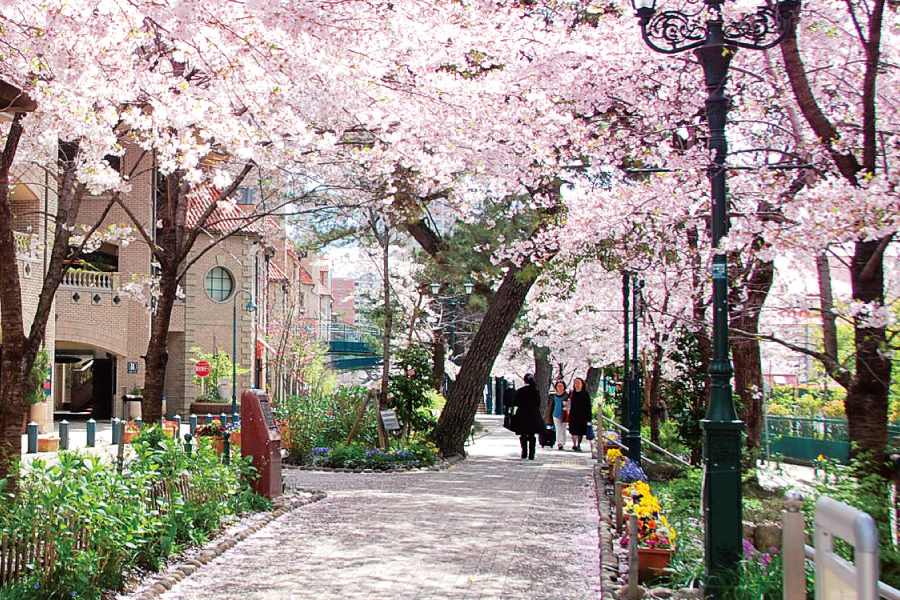 宝塚　花のみち