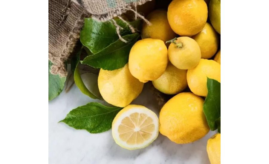 マントンのレモン