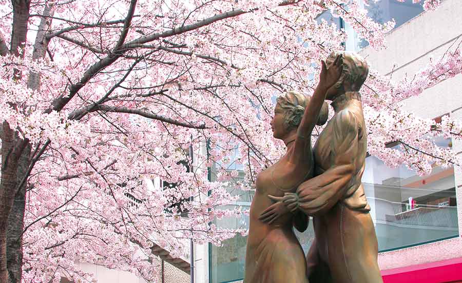 桜が満開の花のみち