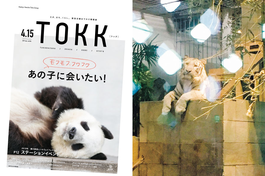 2019年4月15日号「モフモフ、フワフワ　あの子に会いたい！」