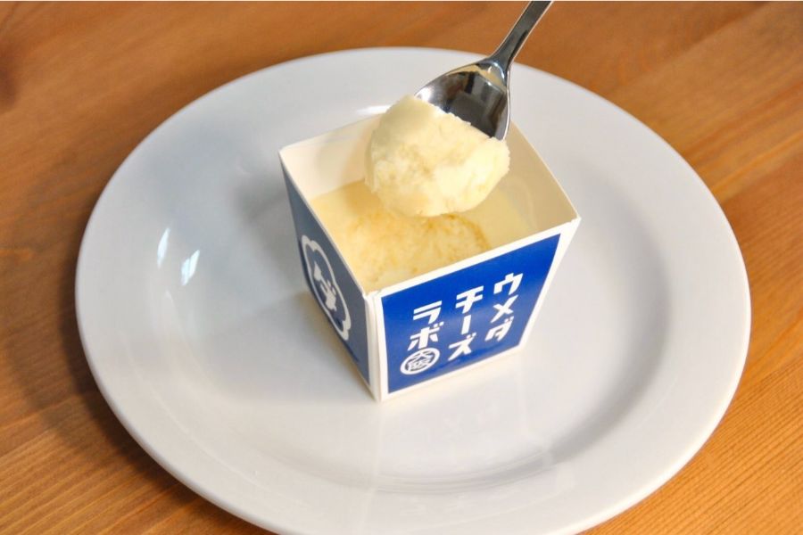 スプーンで食べる濃厚なチーズケーキ