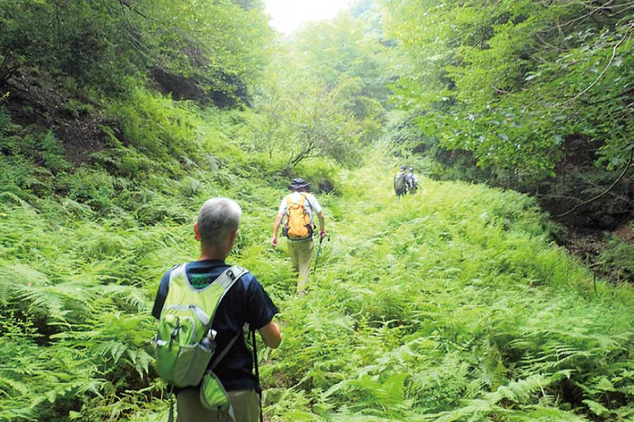 6月2日（木）開催、のせでん第1木曜ハイキング。吉川の民話の風景を訪ねる ピーク444・天狗の松跡・八町茶屋跡コース