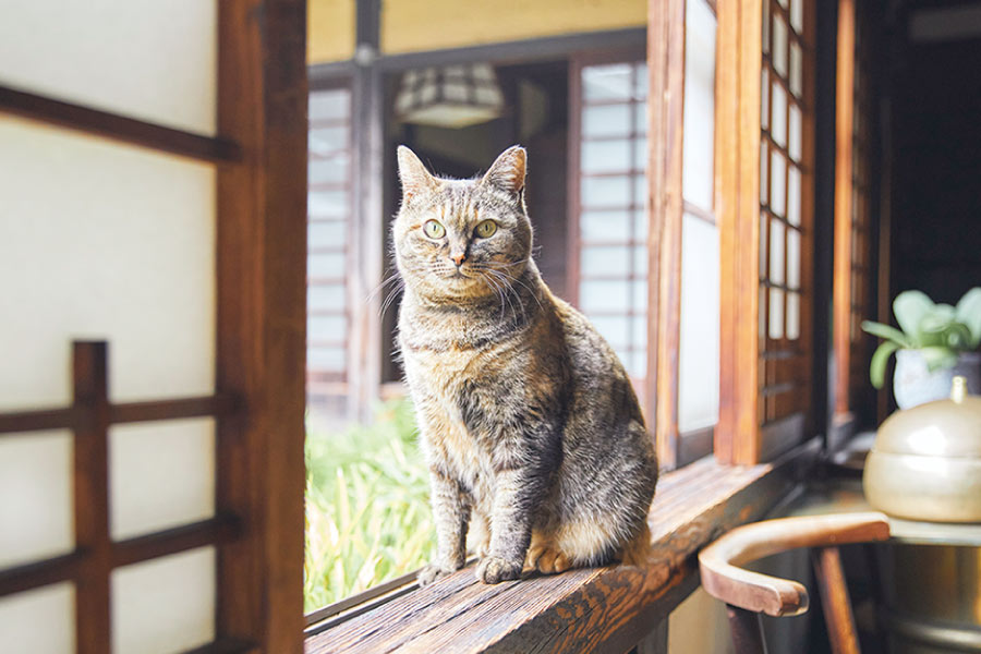 河井寛次郎記念館