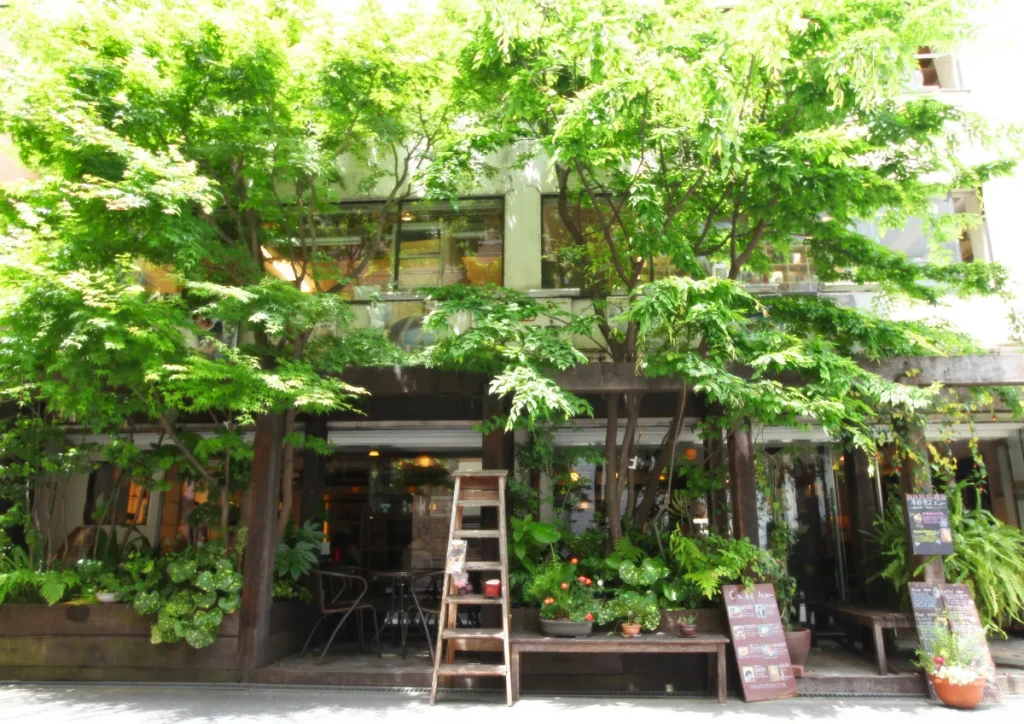 緑に囲まれたカフェゆう工房