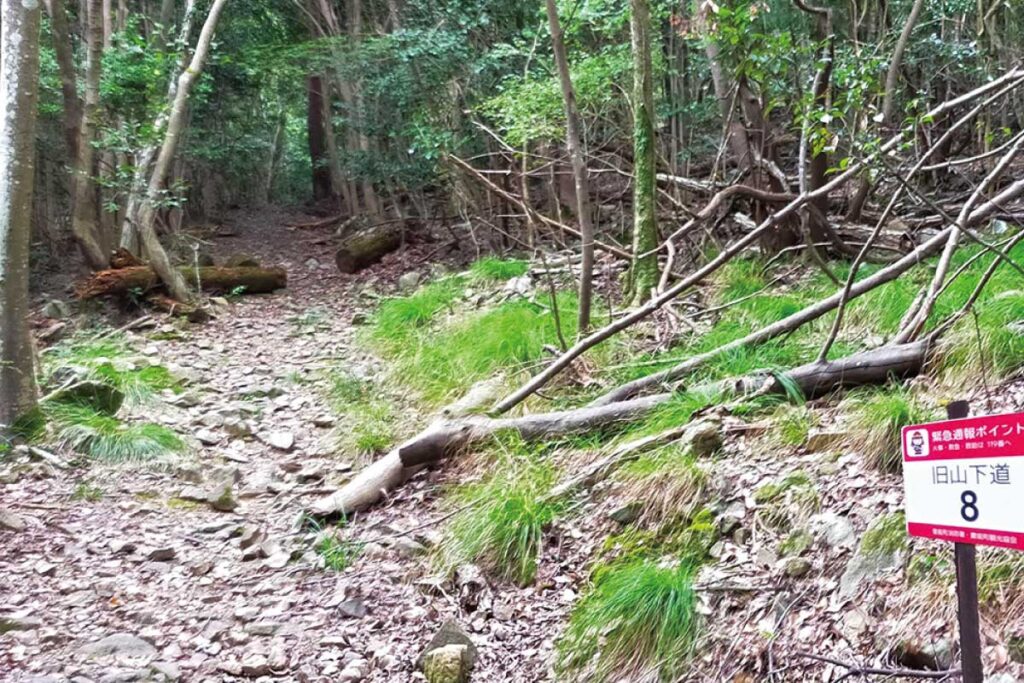 のせでん第1木曜ハイキング 陽ざしを避けて里山トレッキング 旧山下道から山下城址・川西市郷土館コース