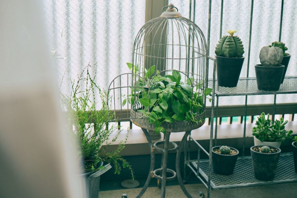 鳥かごのオブジェと観葉植物