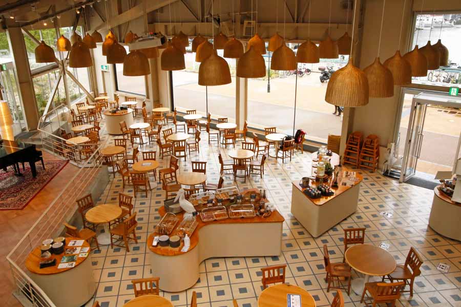 TOOTH TOOTH FISH IN THE FORESTの内観