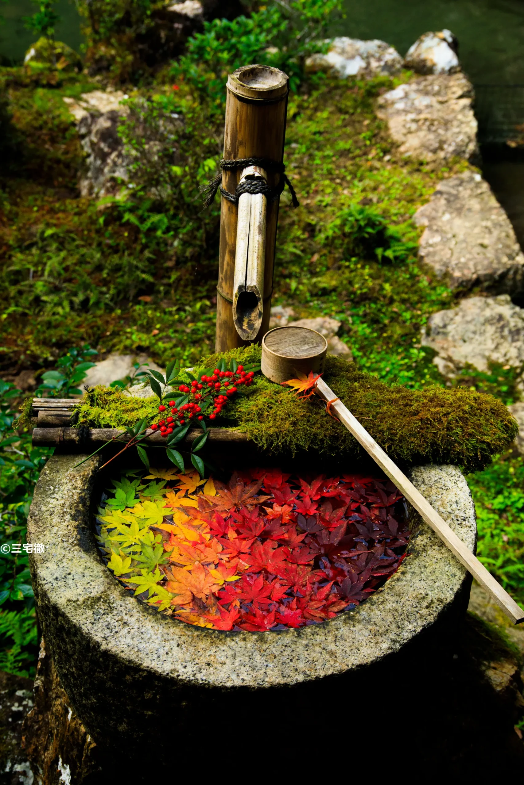 50周年特別企画　長岡京市×TOKK　たどった道のりとこれから