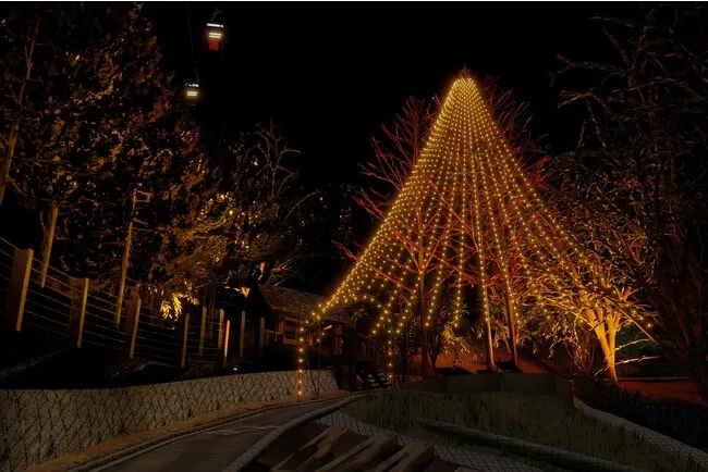 高さ25メートルのメタセコイアをライトアップ