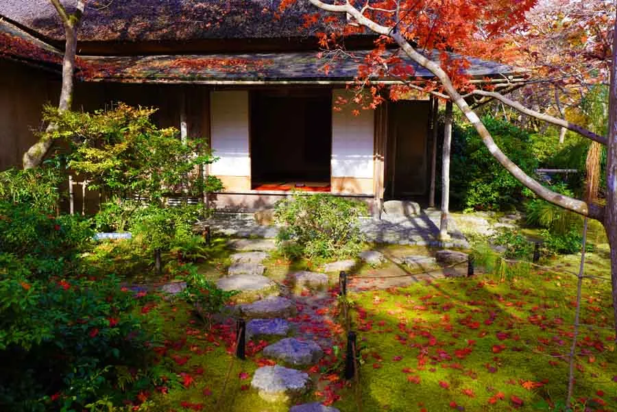 大河内山荘の秋の様子