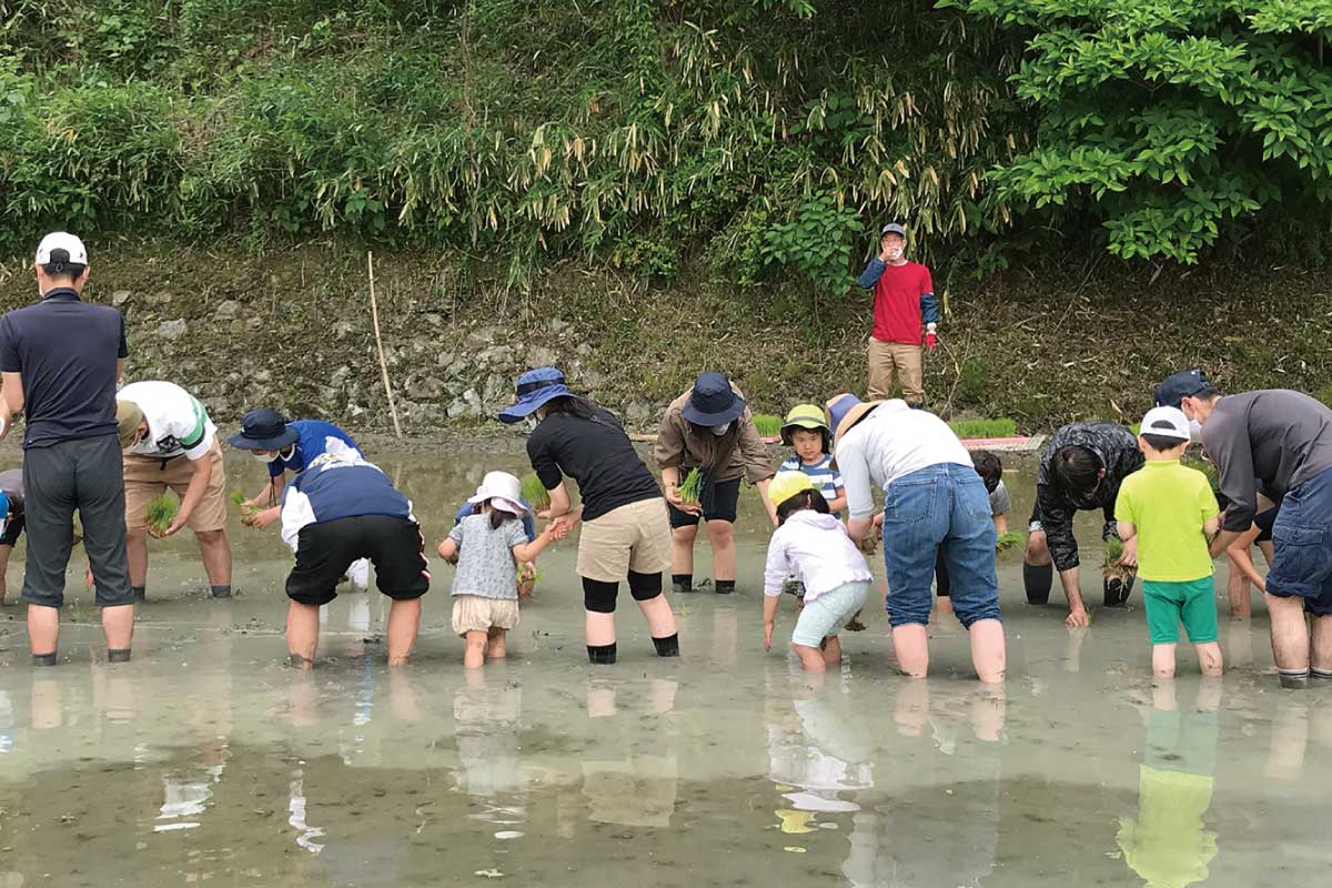阪急阪神ホールディングスのSDGs 阪急阪神不動産が顧客向けに行う農業体験 　環境について学ぶきっかけに