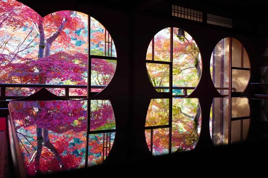 嵐山祐斎亭の秋の景色