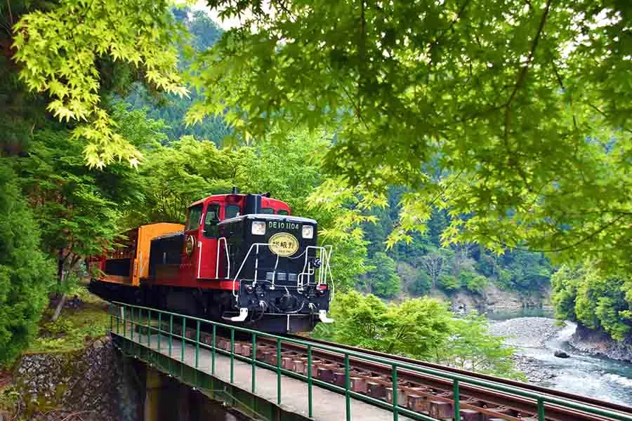 嵯峨野観光鉄道トロッコ列車で走る夏の嵯峨野