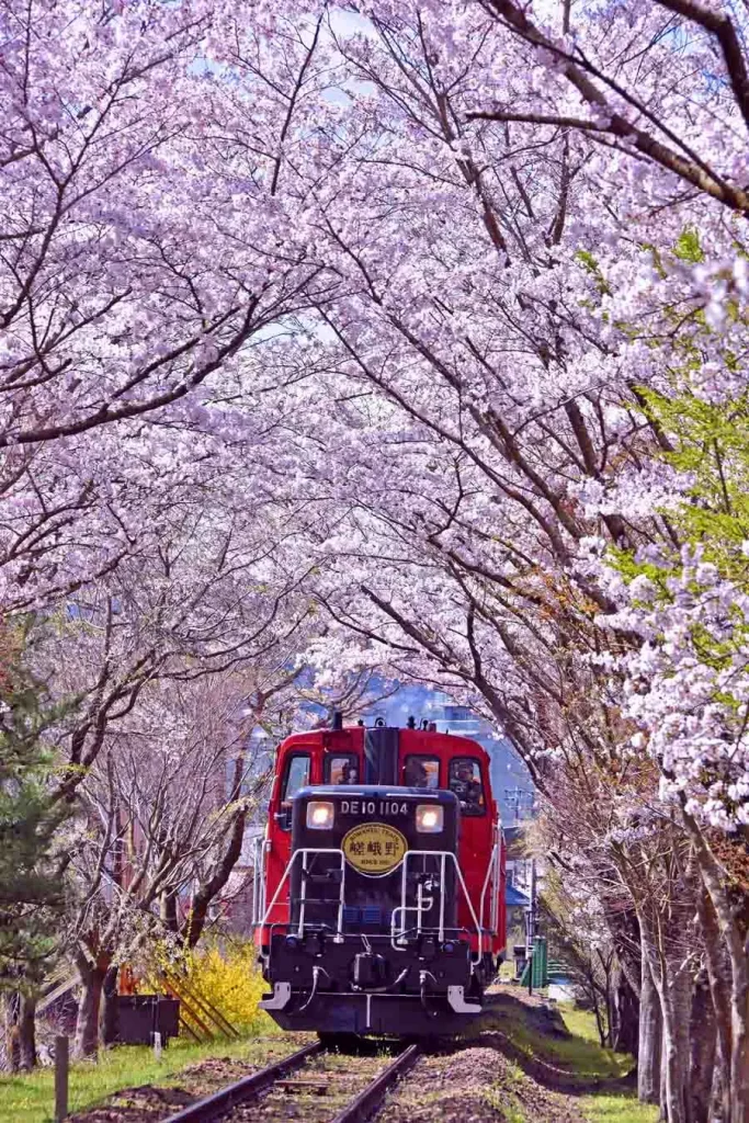 春のトロッコ列車