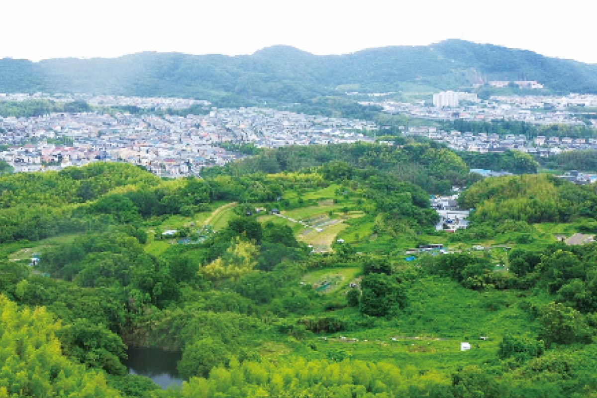 阪急阪神ホールディングスのSDGs 神戸市の里山を保全・活用し、地域の課題解決と活性化を目指す