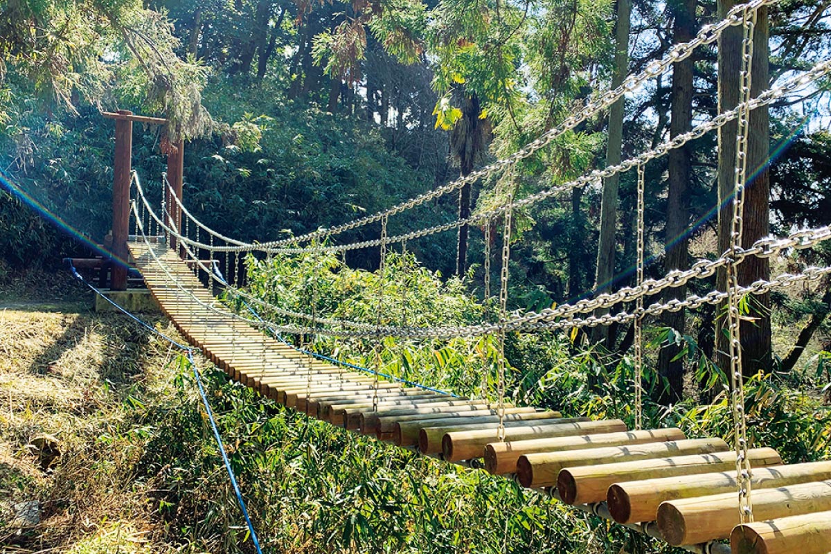 阪急 新緑ハイキング5月3日（祝）開催！爽やかな日差しを浴びて五月山 五月平展望台から市民の森 ウォンバットコース