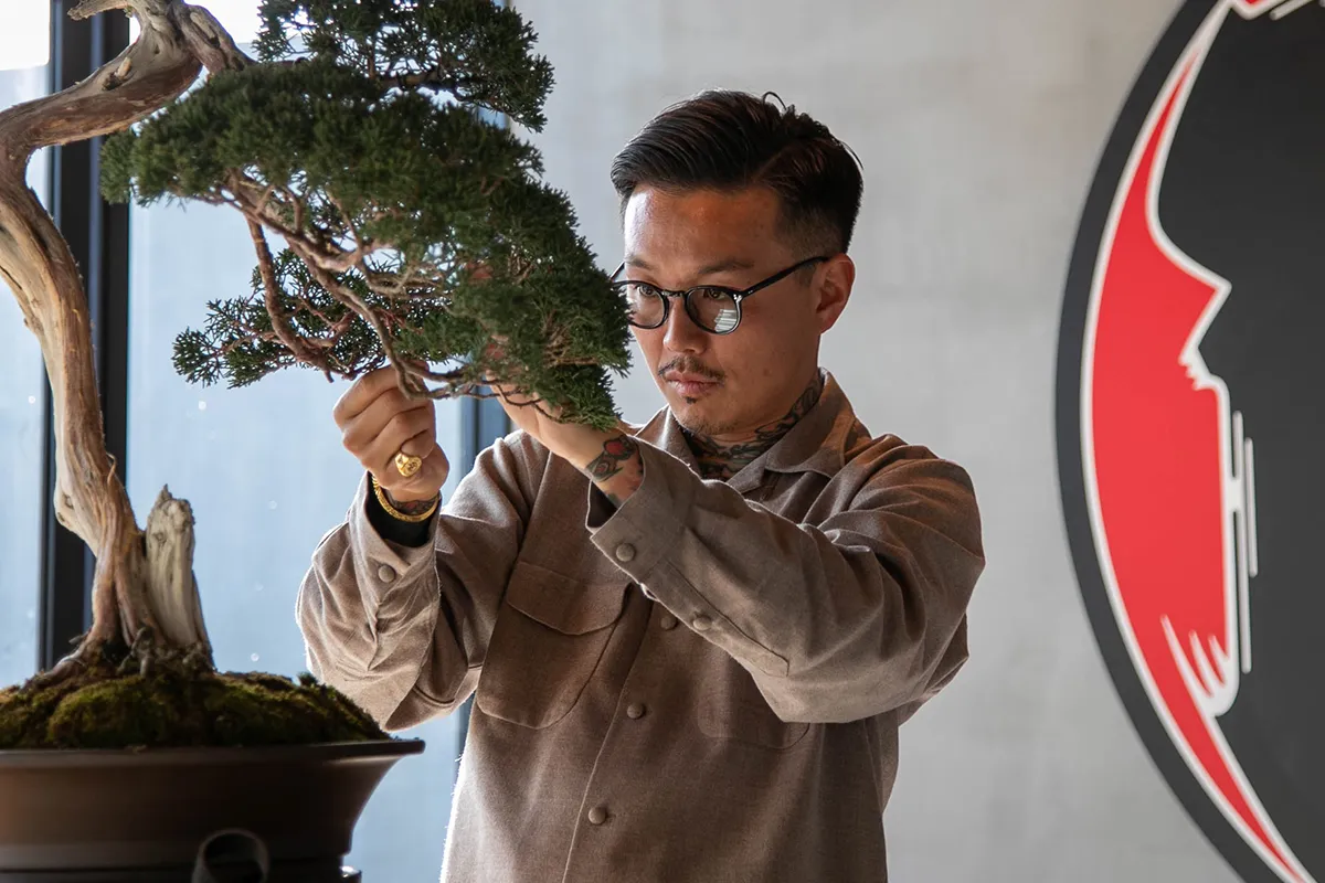 世界から注目を集める盆栽師・小島鉄平率いる『TRADMAN’S BONSAI』。両足院で関西初の展覧会開催