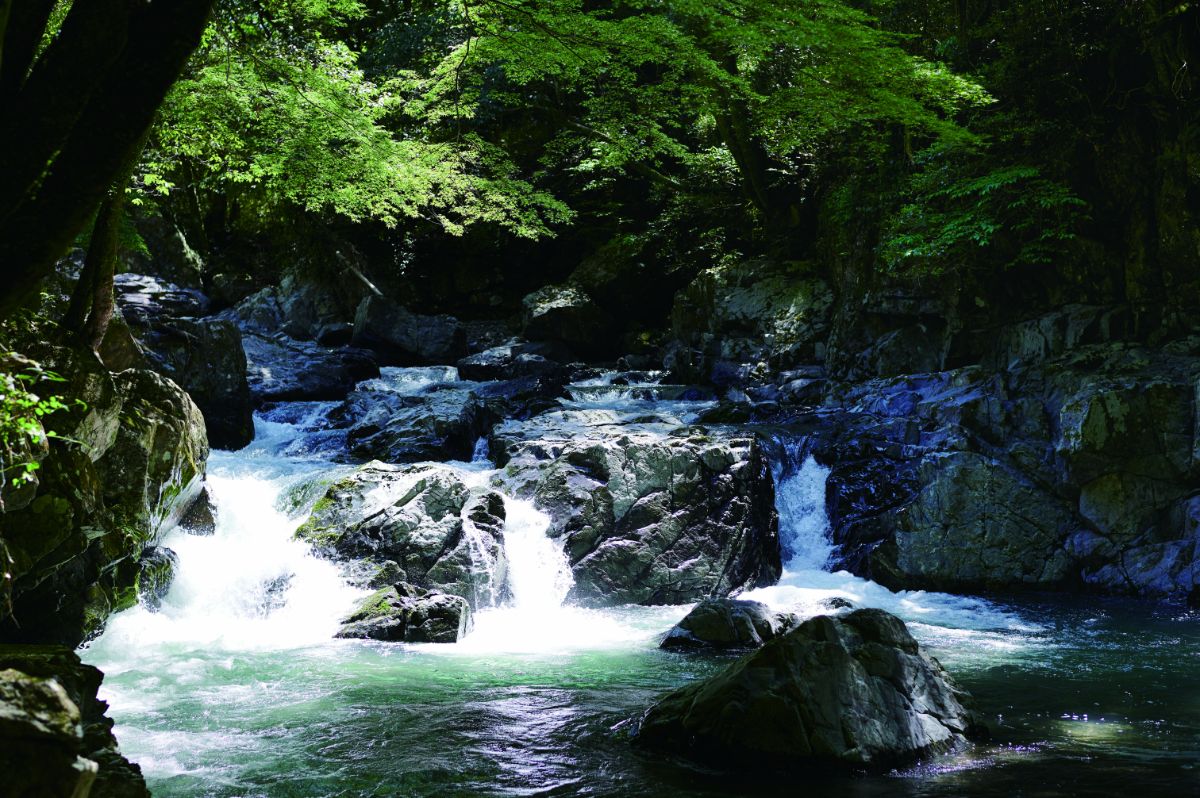 【連載】たかつきDAYS vol.6「涼を求めて、週末プチトリップ！」