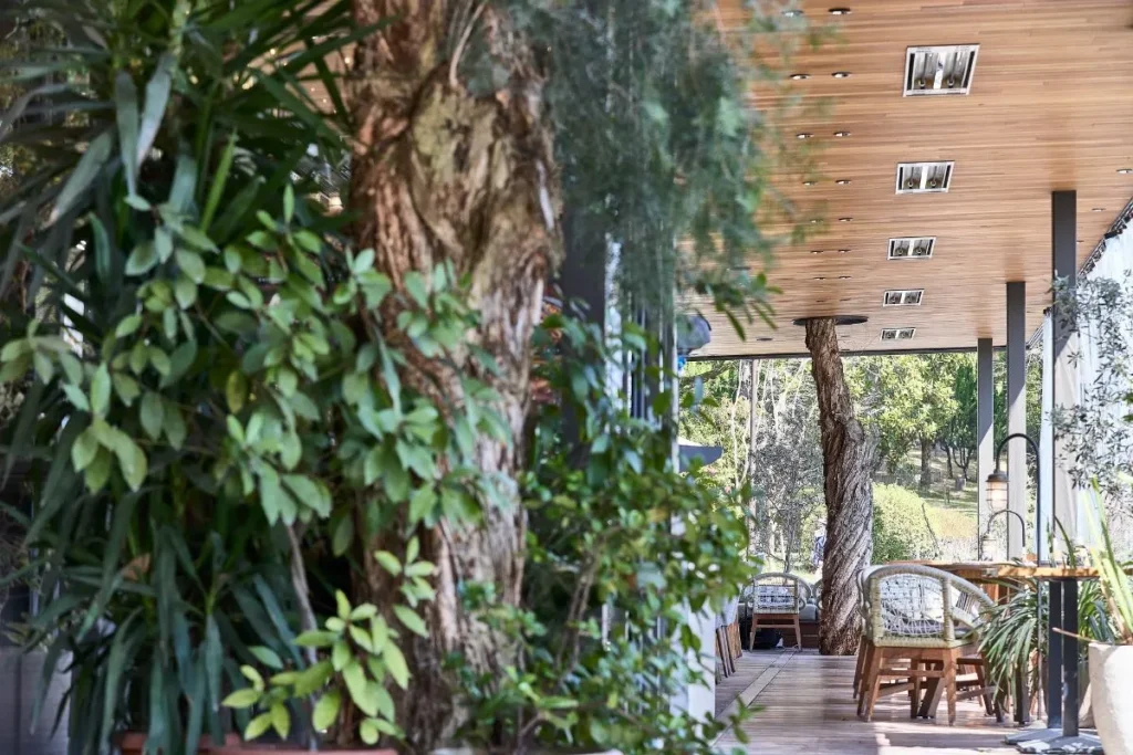 緑が多い店内のテラス席