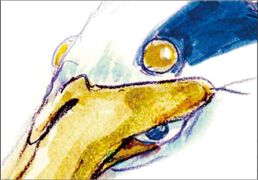 ＜映画情報＞宮﨑 駿監督10年ぶりの長編映画最新作「君たちはどう生きるか」7月14日（金）公開