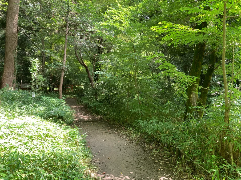 下鴨神社　糺の森