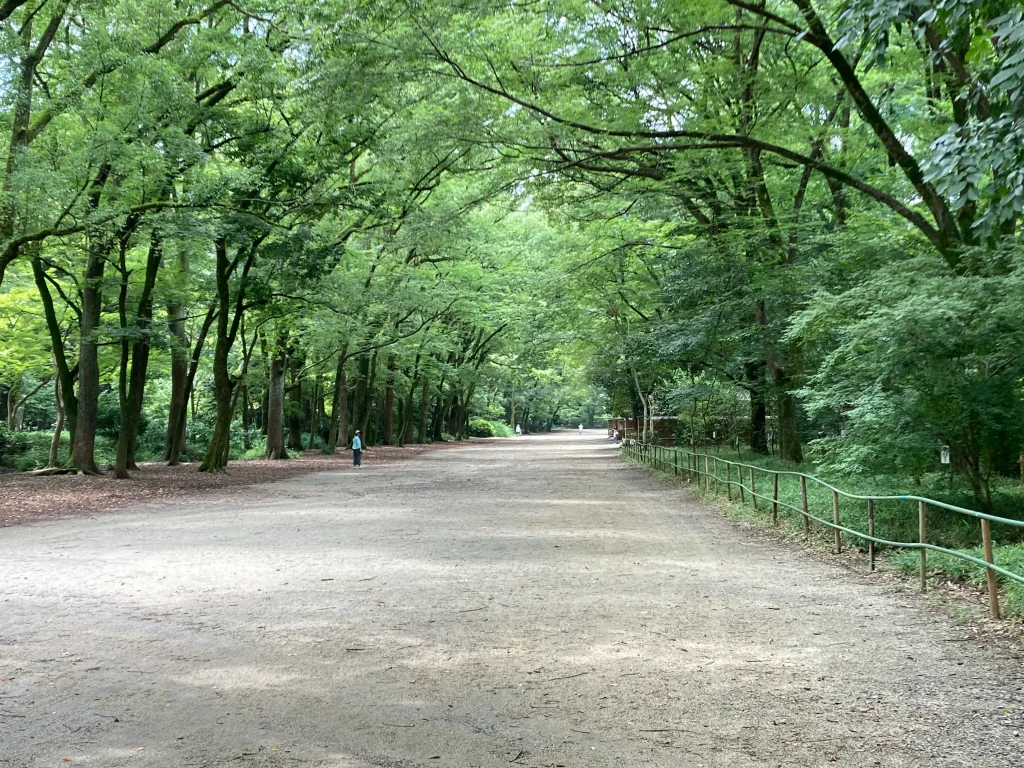 下鴨神社　糺の森馬場
