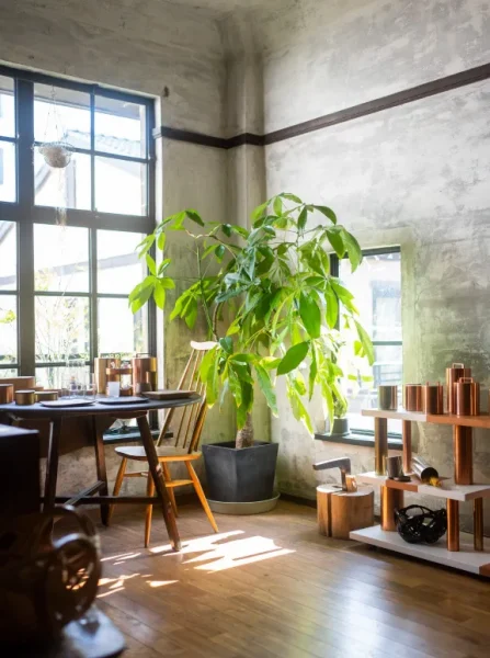 大きな窓から日が差し込むKaikado Caféの内観