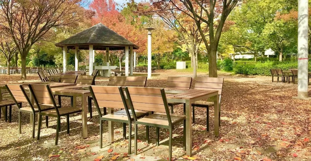 バーベキュー場のテーブルとイス