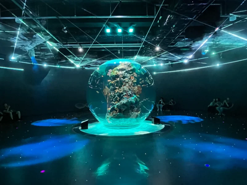 「AQUARIUM×ART átoa(アトア)」は絶対行きたい神戸の新名所!