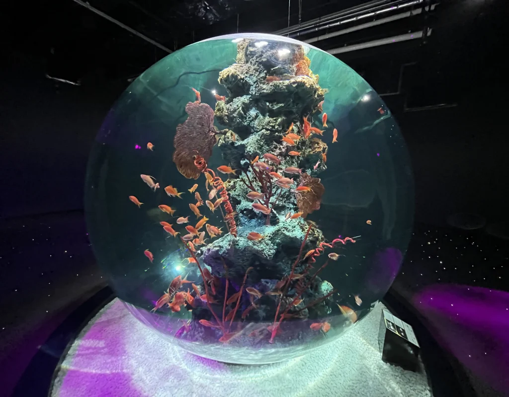 átoa(アトア)「PLANETS 奇跡の惑星」