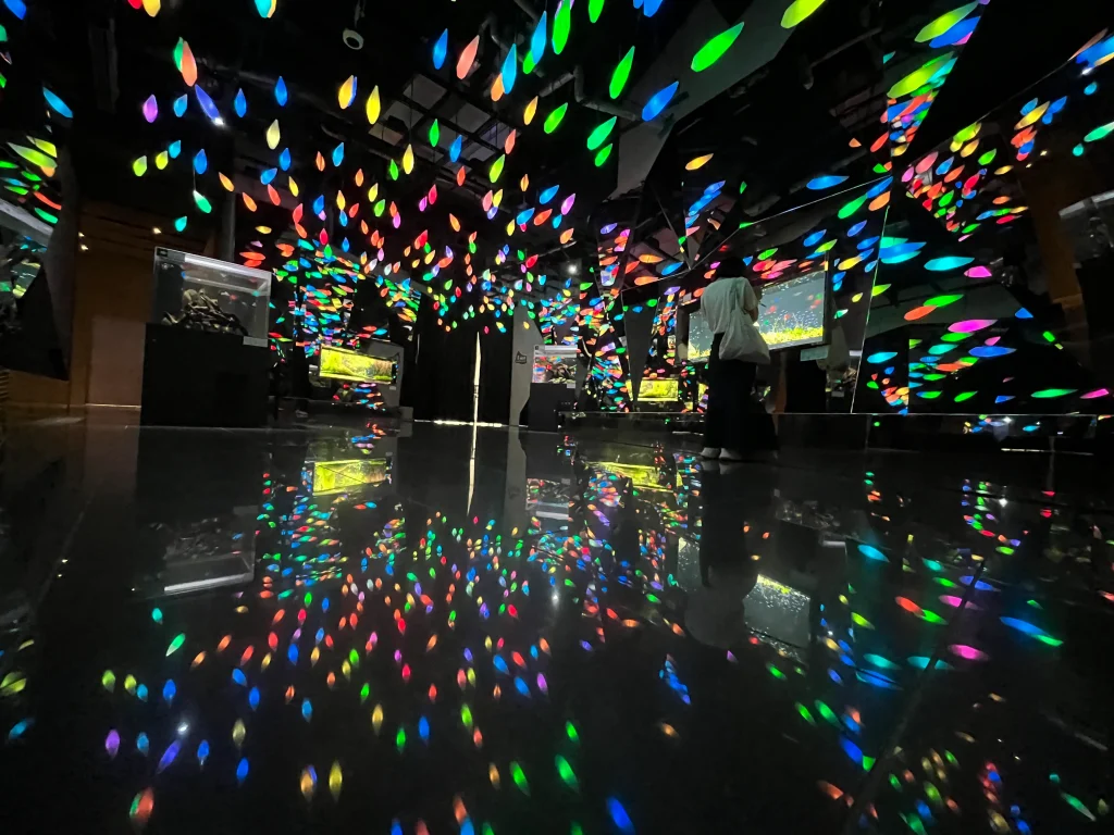 átoa（アトア）「CAVE はじまりの洞窟」