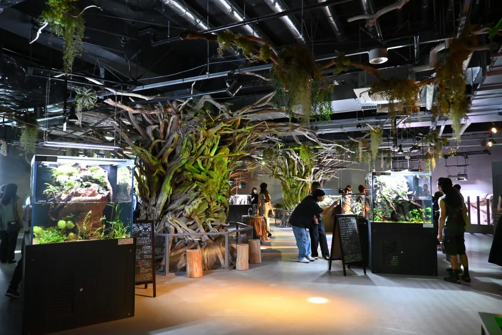 átoa(アトア)「ELEMENTS 精霊の森」