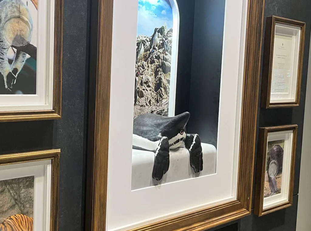 átoa(アトア)「GALLERY 探求の回廊」