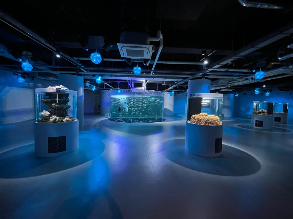 átoa(アトア)「MARINE NOTE 生命のゆらぎ」