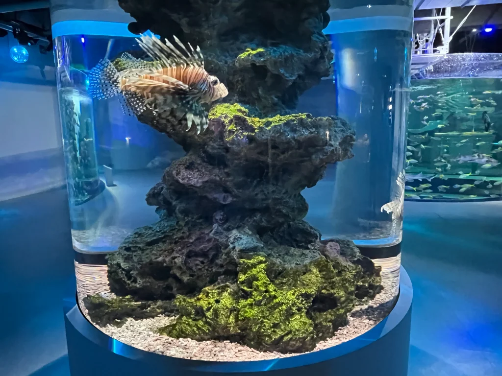 átoa(アトア)「MARINE NOTE 生命のゆらぎ」